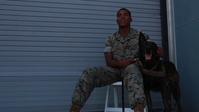 LA Fleet Week 2019: A Devil and his Dog