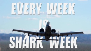 Every Week is Shark Week