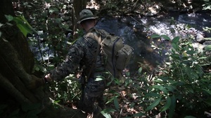 (B-roll) KORMAR Platoon Exchange 2019: Jungle Partol and Mout Exercise