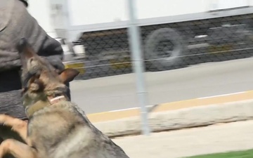 332 ESFS MWDs Demo at Joint Training Center Jordan