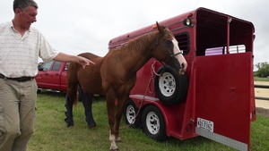 Langley Horse Evacuations