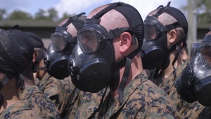 India and Oscar Gas Chamber