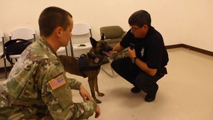 Law Enforcement, Army, Navy, Air Force Participate in Army Reserve K9 Casualty Training