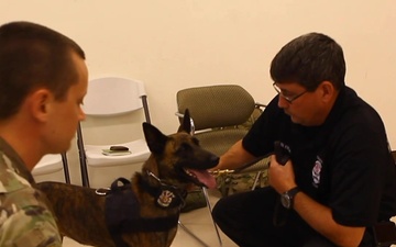 Law Enforcement, Army, Navy, Air Force Participate in Army Reserve K9 Casualty Training