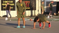 Fit to Fight