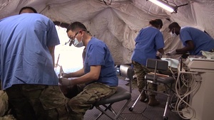 Army Dentists Hone Readiness Skills in the Field