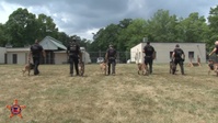Canine Training
