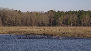 Seymour Johnson's USDA Team BROLL