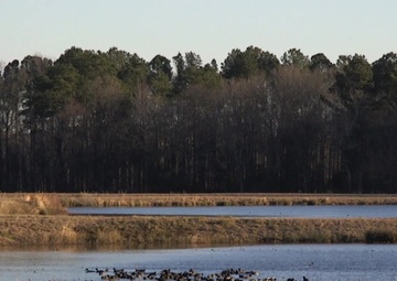 Seymour Johnson's USDA Team