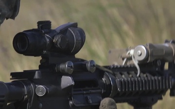 Platinum Eagle 19.2: Battle Sight Zero