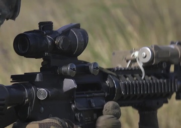 Platinum Eagle 19.2: Battle Sight Zero