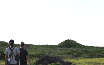 Hawaiian Stilt birds call MCBH home