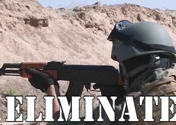 SDF eliminates Daesh
