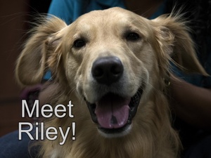Meet Riley!