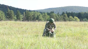 Saber Junction 2019: 173rd Infantry Airborne Brigade Conducts Multi-National Joint Forcible Entry Training