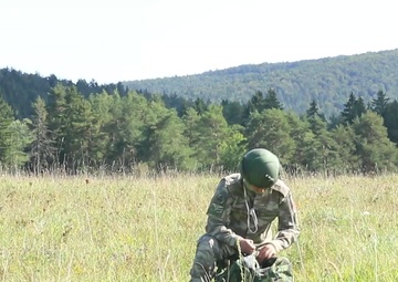 Saber Junction 2019: 173rd Infantry Airborne Brigade Conducts Multi-National Joint Forcible Entry Training