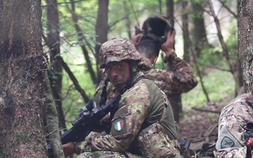 Saber Junction 2019 Italian Paratroopers