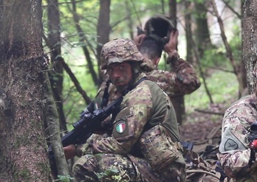 Saber Junction 2019 Italian Paratroopers