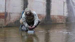3rd Marine Division CBRN Participates in EOD Exercise 19