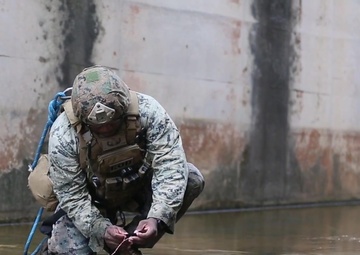 3rd Marine Division CBRN Participates in EOD Exercise 19