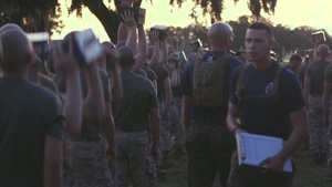 Mike Company CFT