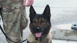 Davis-Monthan MWD Airmen