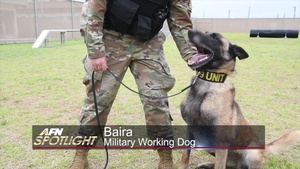 MWD Baira, 503D MP Det Pacific Spotlight