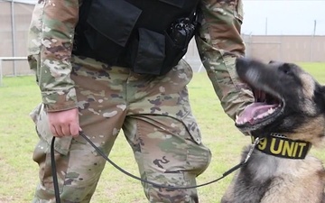 MWD Baira, 503D MP Det Pacific Spotlight