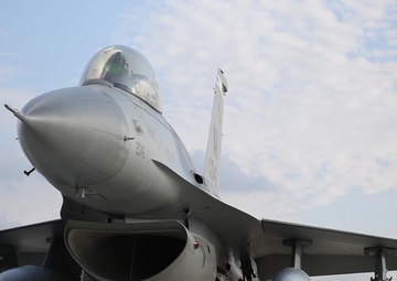 31st Fighter Wing executes Rapid Buzzard exercise