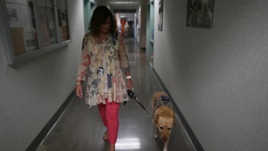 B-Roll of Paige The 144th Fighter Wing's Facility Therapy Dog