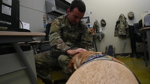 Paige Facility Therapy Dog TV Package With Graphics