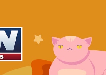 Cat AFN Facebook Banner