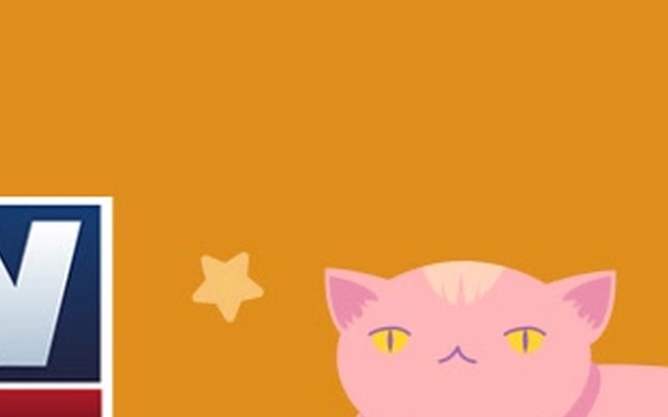 Cat AFN Facebook Banner
