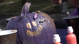 Purple Pumpkin Project