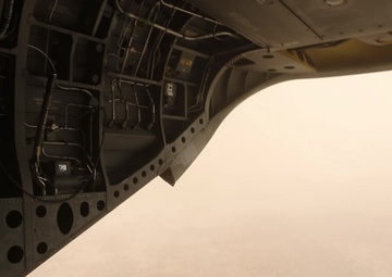 Coalition Air Assault Training