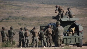 Bizarro Exercise 2019