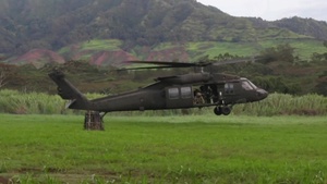 25th Infantry Division Artillery Raid