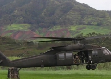 25th Infantry Division Artillery Raid