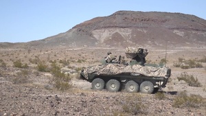 2d LAR conducts platoon attacks during ITX 1-20