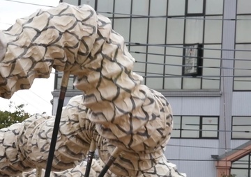 Iwakuni community celebrates annual Iwakuni Parade (B-Roll)