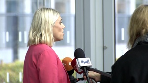 Doorstep by Danish Minister of Defence
