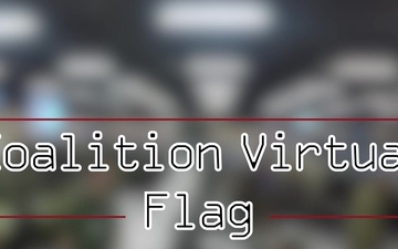 Coalition VIRTUAL FLAG