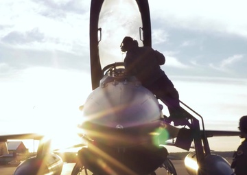 Air Force Bird Aircraft Strike Hazard Program