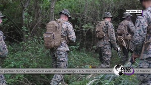 DoD News in 2: October 29, 2019