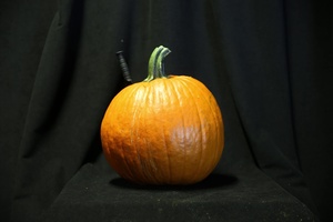Halloween 2019 video