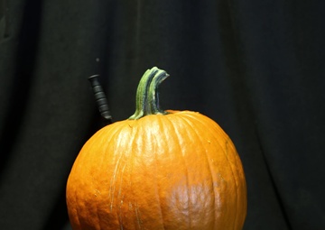 Halloween 2019 video