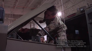 Malmstrom AFG: GT20