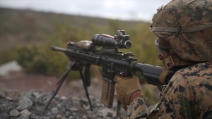 (B-Roll) Bougainville II: Squad Attack
