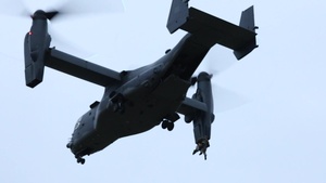 U.S. & Hungarian Bilateral Exercise