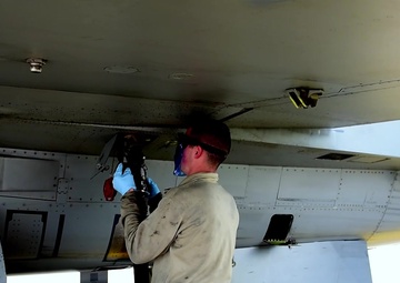 Rapid Buzzard - Slovenia